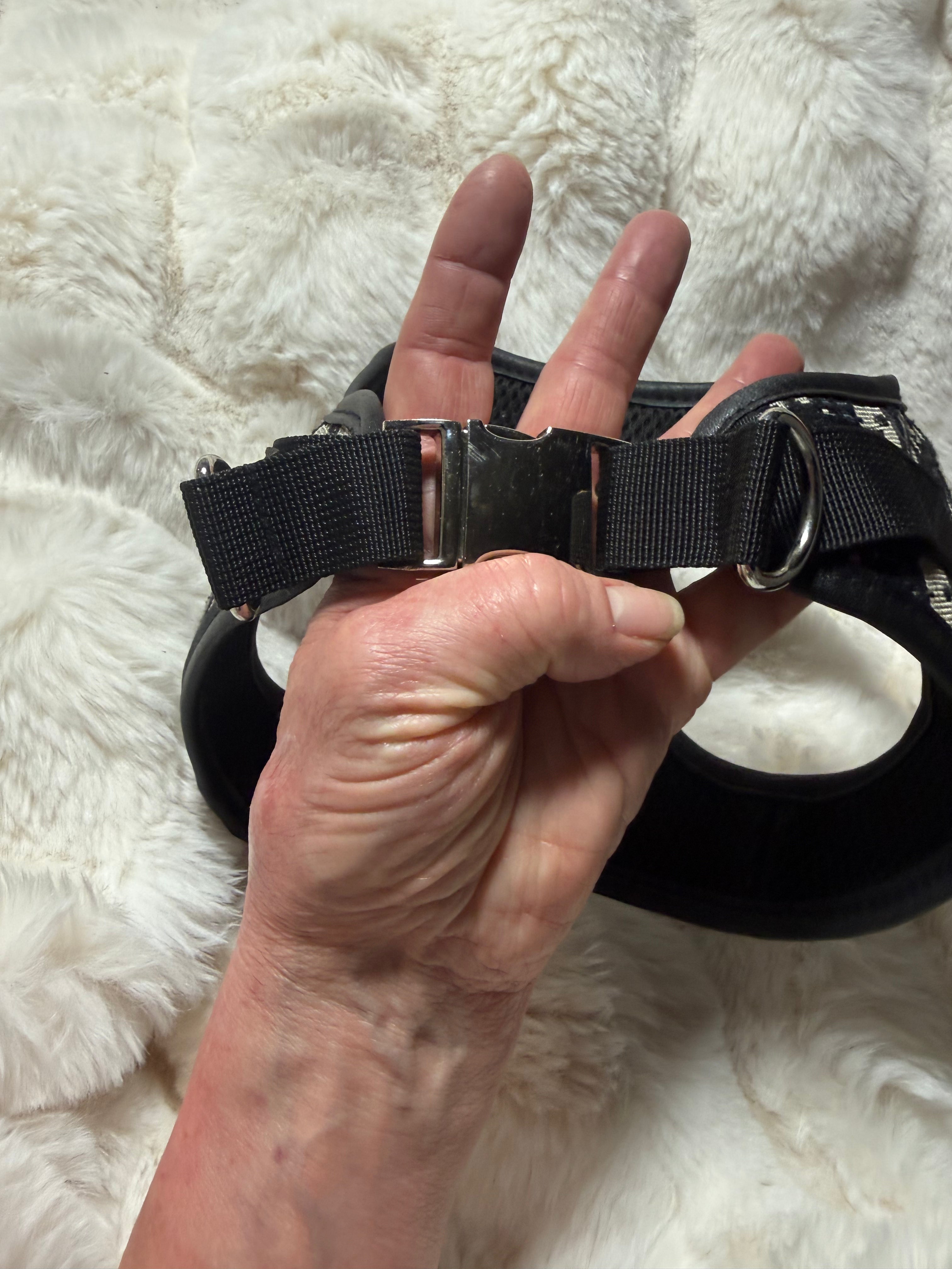 Christian Dior Oblique Dog Harness Black Beige | Designer Pet | Size M